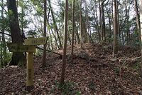 Tokura8.jpg