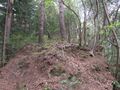 Thumbnail for version as of 09:39, 8 June 2021