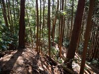 Chihayacastle18.jpg