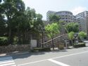 Hanakuma (6).JPG