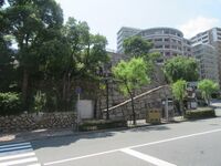 Hanakuma (6).JPG