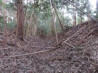 HitachiYoriijou (4).JPG