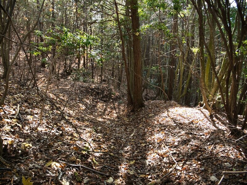 File:Inokurakyoto36.jpg