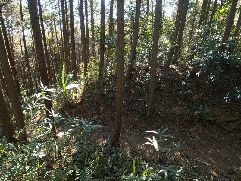 File:Kokashingu14.jpg