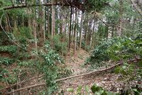 Matsuida17.jpg