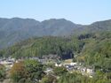 MikawaNakayamaToride (4).JPG