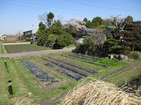 MikawaWatarijou (1).JPG