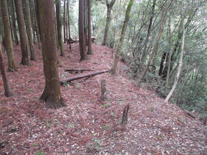 File:NorisadaKobatajou (16).jpg