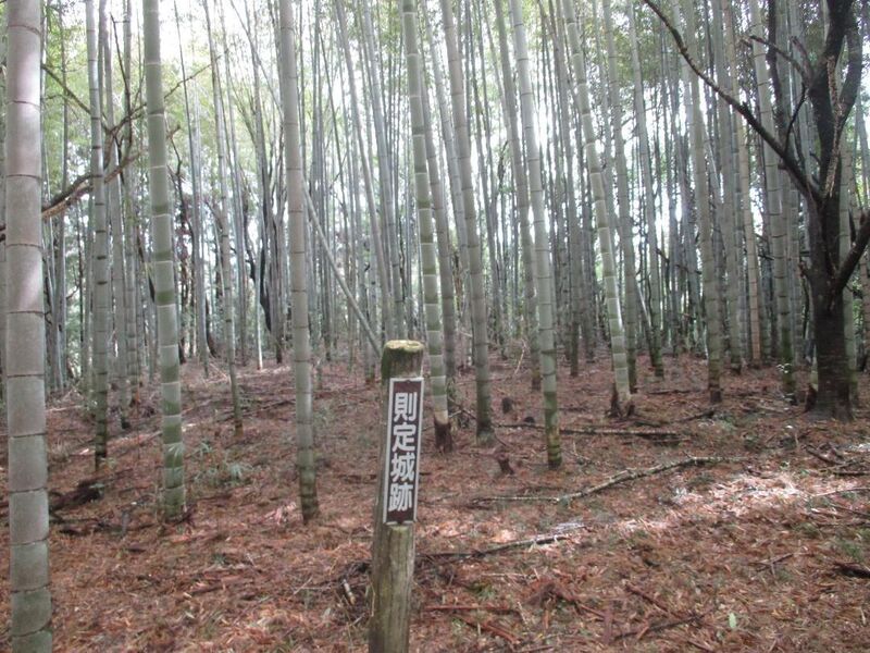 File:Norisadajou (4).jpg