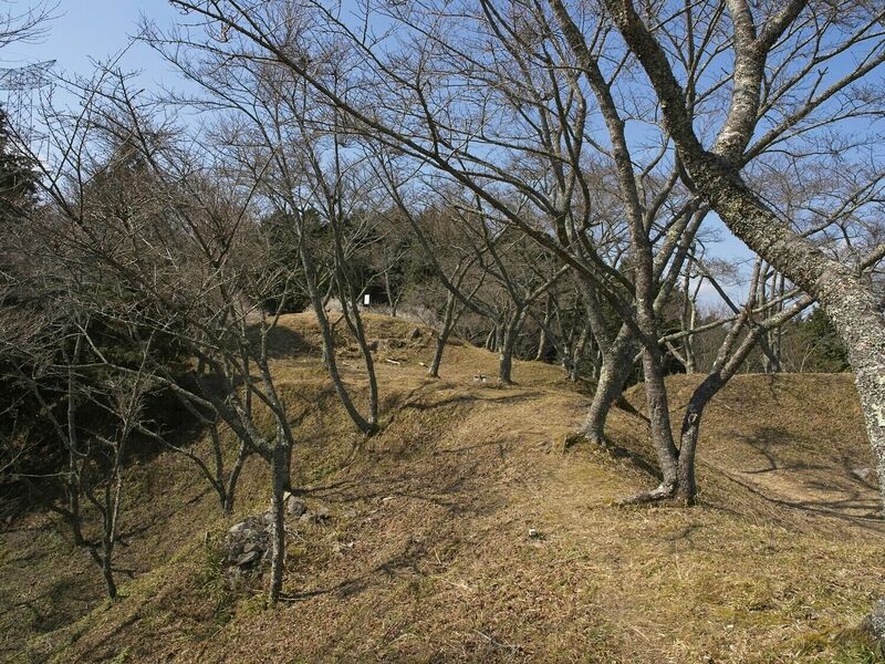 File:Ogawakoka17.jpg