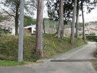 Sakurabasamajou (6).JPG