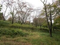 SanadaYazawajou09.JPG