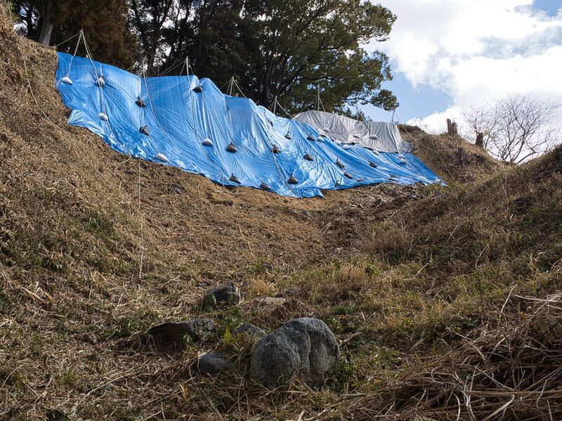 File:Tamaru2025 10.jpg