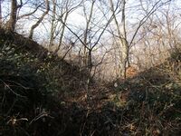 鴨ヶ嶽城 19.JPG