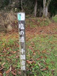 AzumiUzuhashijouA (1).JPG