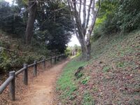 HazuTerabejou (13).jpg