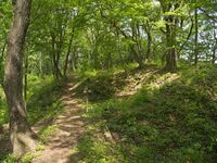 Ichijodani-yamajiro30.jpg