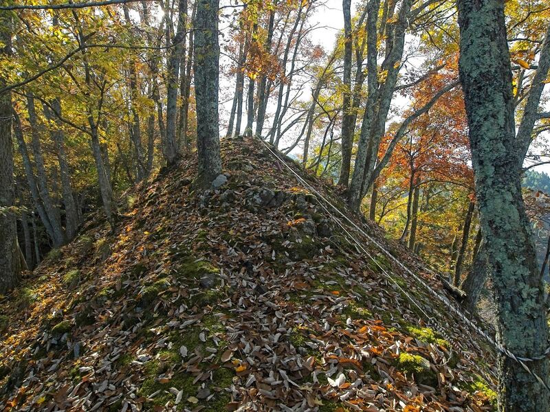 File:Kamaha5.jpg