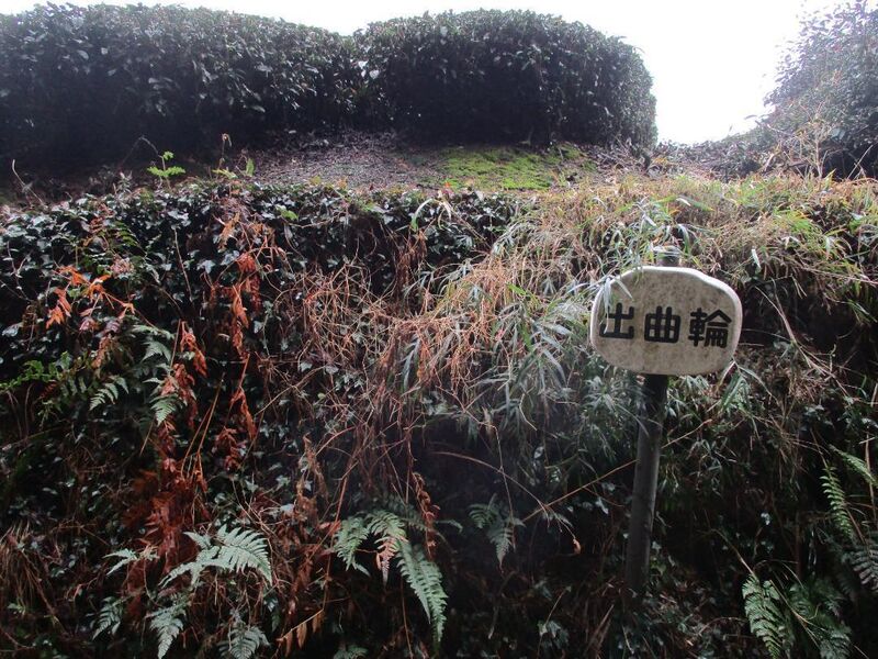 File:Katsumatajou (90).jpg