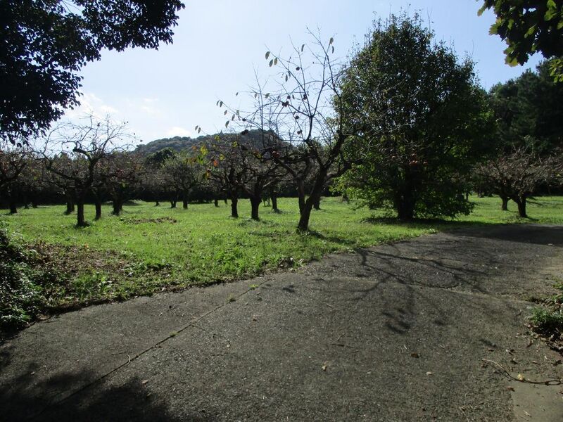 File:MikawaOhsawajou002.jpg