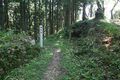 Thumbnail for version as of 13:28, 24 June 2017