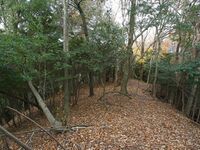 Nakaokyoto6.jpg