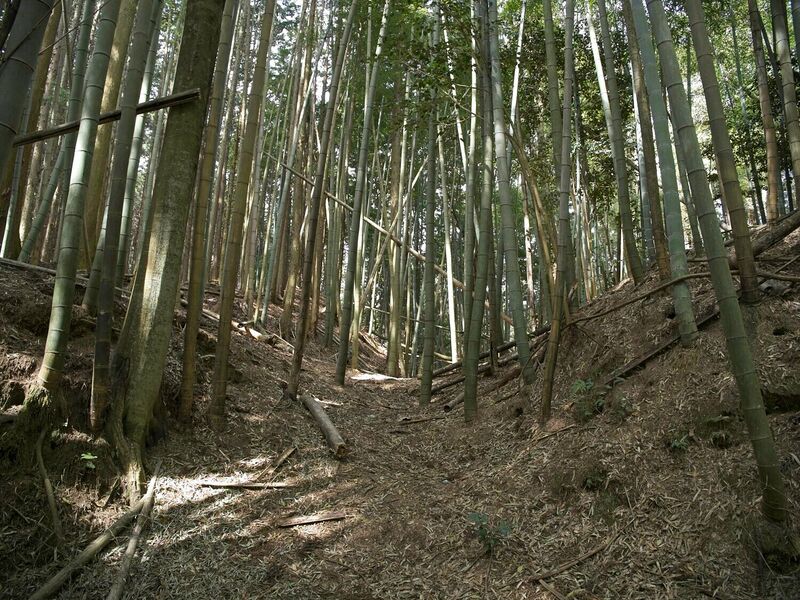 File:Ogawanishinokoka4.jpg