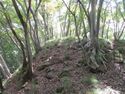 Ohiwajou (1).JPG