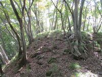 Ohiwajou (1).JPG