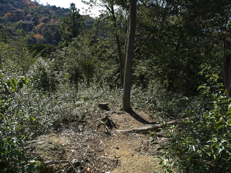 File:Ohyamadejiro5.jpg