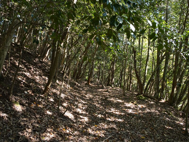 File:Higashigoma10.jpg