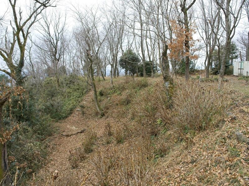 File:Iimori7.jpg