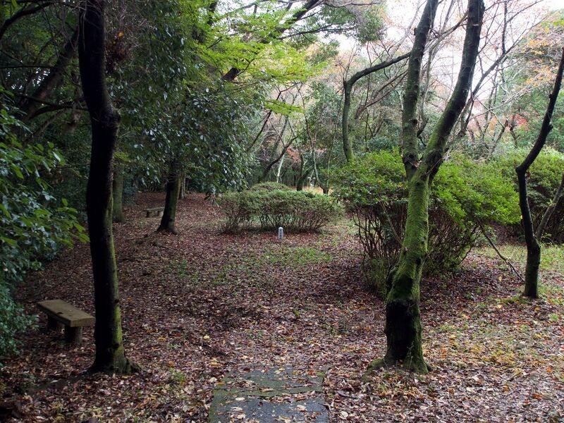 File:Kamei54.jpg