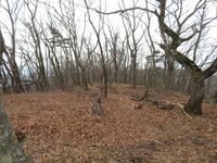 Nishijoujou (1).JPG