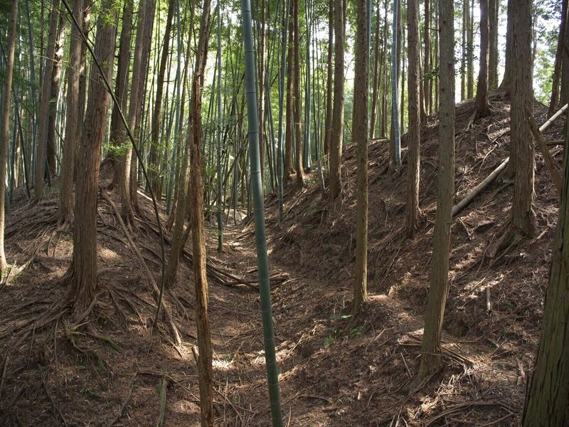 File:Ogawanishinokoka9.jpg