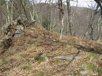 Soudaidejou (1).JPG
