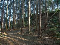 Uenokoka10.jpg
