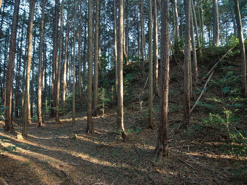 File:Uenokoka10.jpg