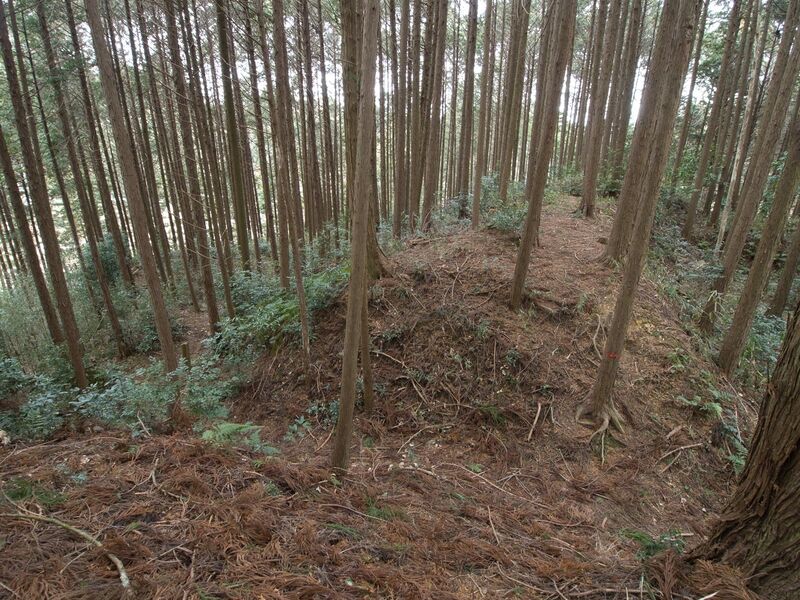 File:Wadakoka23.jpg