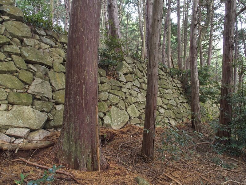 File:Azuchi east46.jpg
