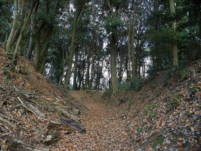 File:Eboshigata52.jpg