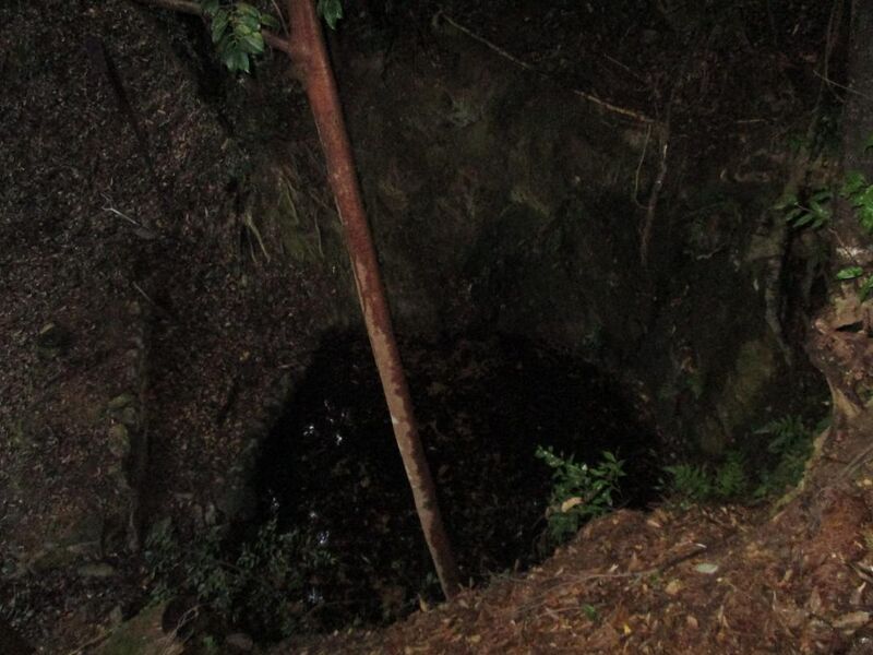 File:Ibijou003.jpg