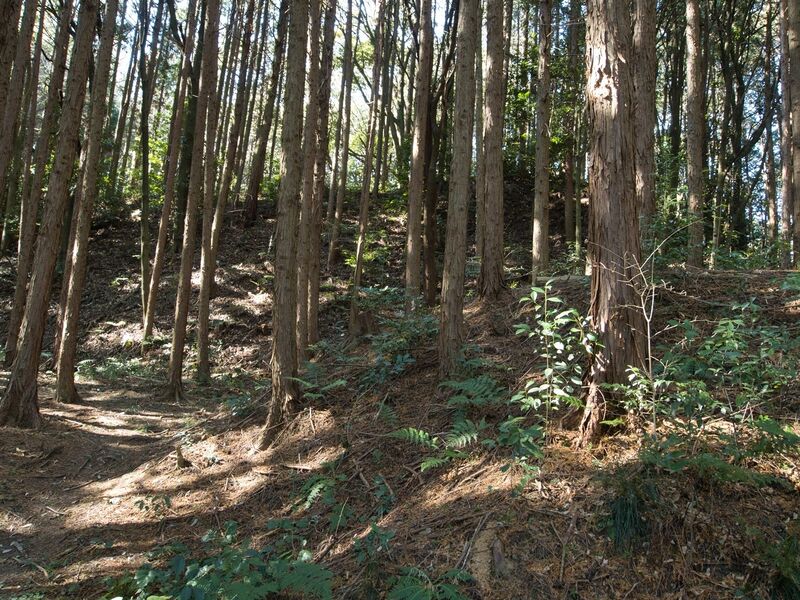 File:Kokashingushi32.jpg