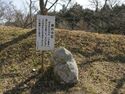 Ogawakoka22.jpg