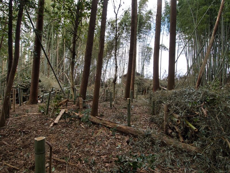 File:Takenaka24.jpg