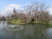 Tanagura7.jpg