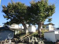 Yokotajou (1).jpg