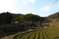 Akutagawasan8.jpg