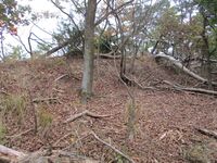 Aratoshoujou (3).JPG