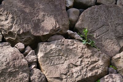 Edo stones15.jpg